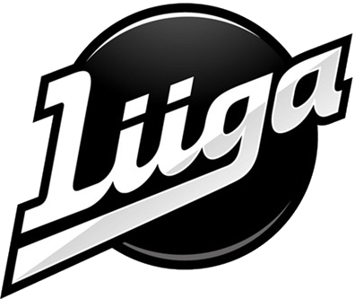 Liiga 2013-Pres Primary Logo iron on heat transfer